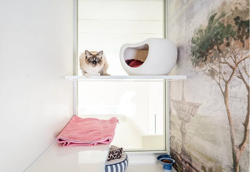 Dedicated for contagious cases