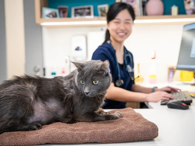 Women smiling while lookin at the cat .