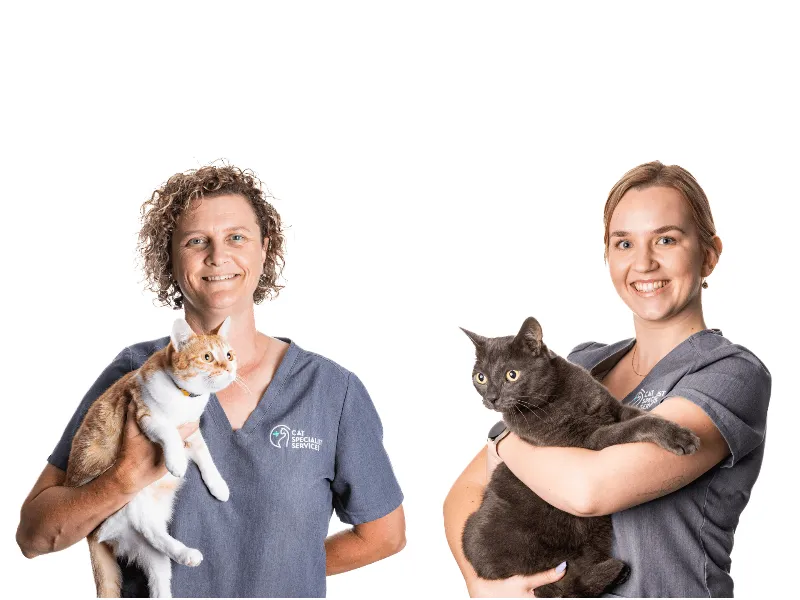 two women holding a cats