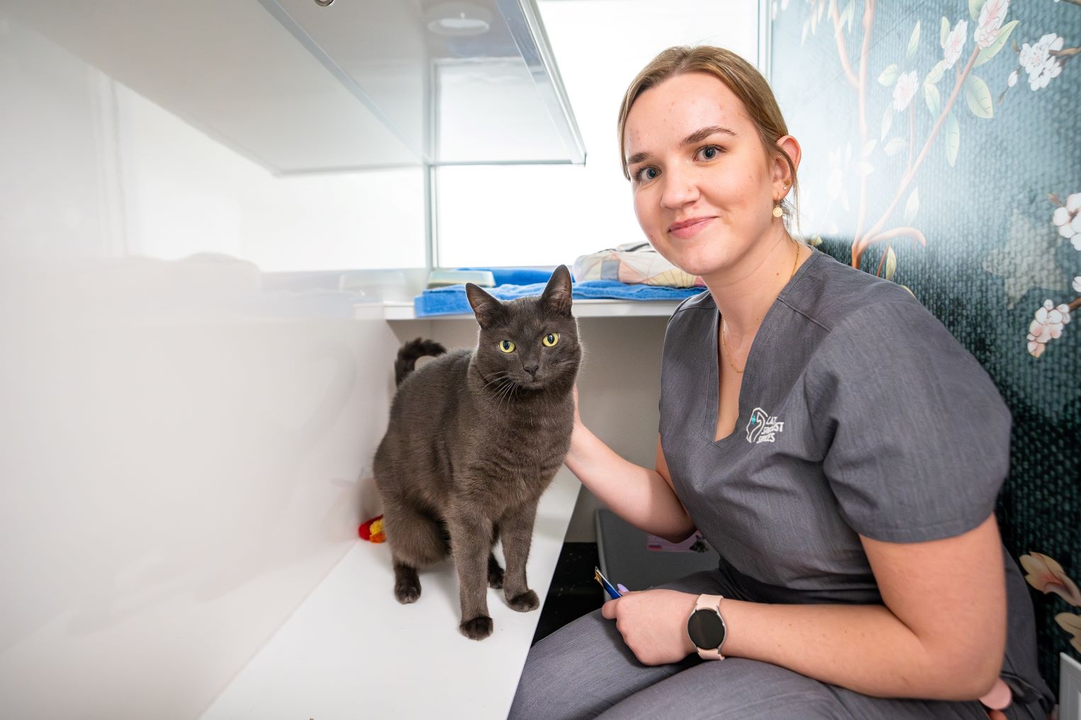 Veterinary nurse with a grey cat during a consultation at a feline hospital