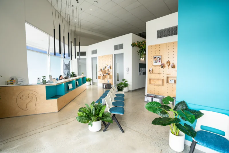 Modern veterinary hospital reception area