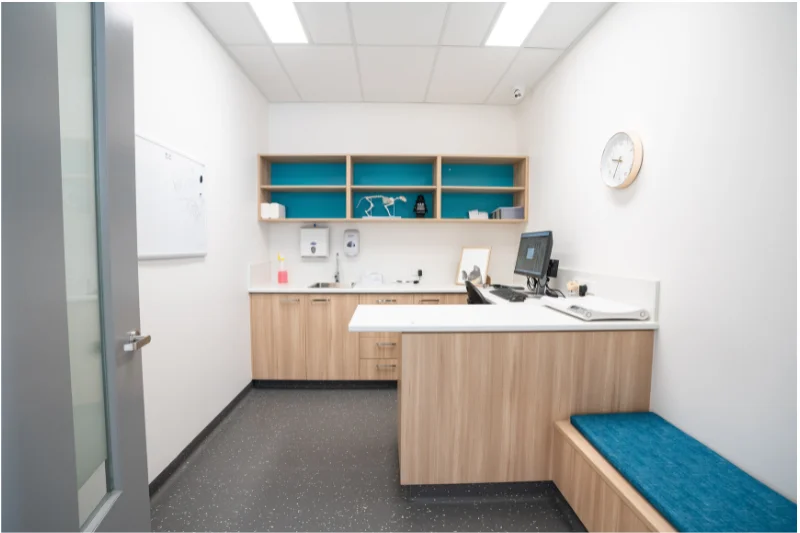 Veterinary consultation room interior