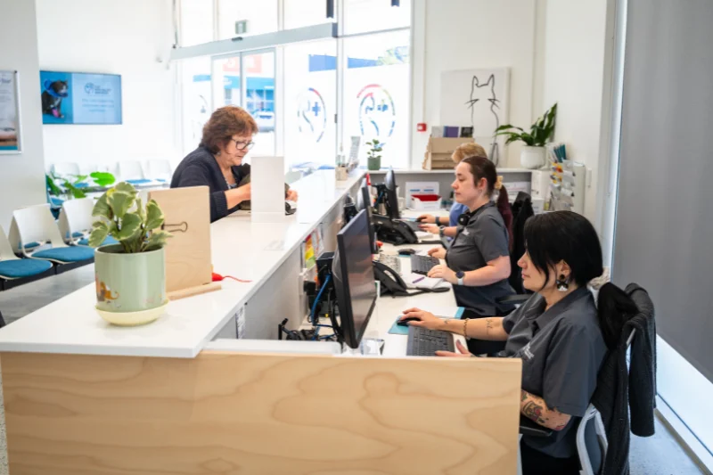 Veterinary reception team assisting clients